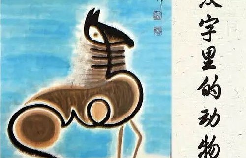 教科书之谜，自我发现与疾病之影