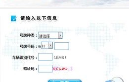 违章查询网上查询(济宁违章查询网上查询)