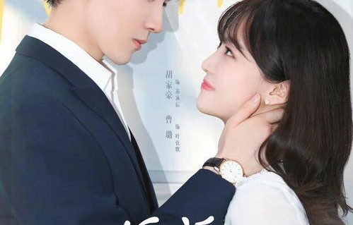 短剧拜托快结婚吧的魅力与深度解析