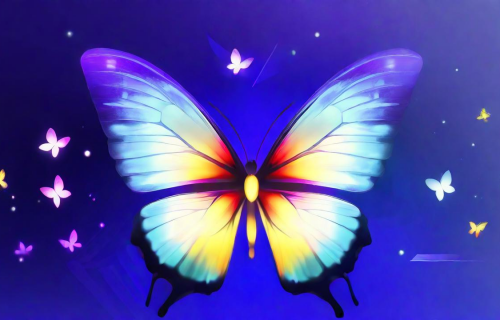 成版年蝴蝶视频app（变成蝴蝶的视频）