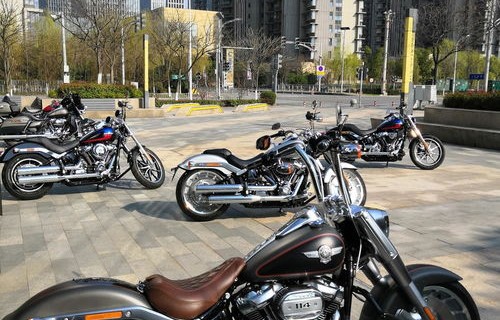 哈雷摩托车(哈雷摩托车官方旗舰店官网)