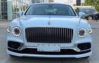 女士宾利迷你版30万(宾利迷你型汽车多少钱)