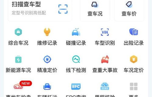 违章查询官网(河南交警网违章查询官网)