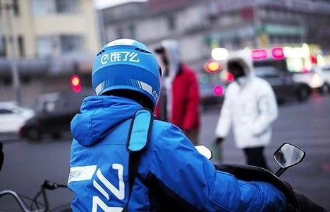 潘宏园区生鲜车托运宠物致死事件，责任与反思