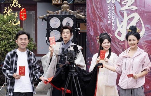 短剧俏皮王妃不好惹，邹漪琳与汪子夕的传奇故事