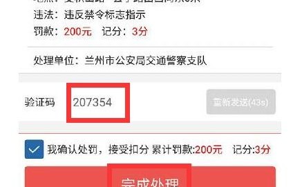 车辆查询违章(非本人车辆查询违章)