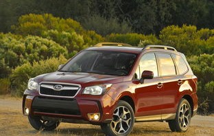 越野suv车型推荐(四驱越野车排名前十名)