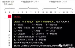 车辆识别代码查询官网(大众车辆识别代码查询官网)