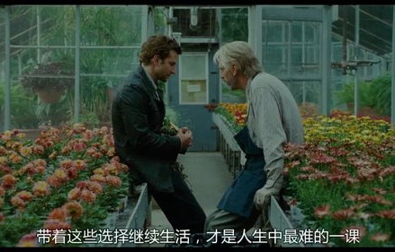 短剧离婚前我拿回了所有——85集的婚姻故事