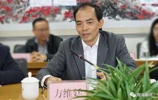 省委原常委落马后，其妻追讨巨额债务的背后