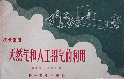 短剧孤注一掷之卧龙的深度解析