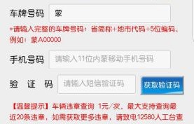 违章查询免费查违章平台(违章查询免费查违章平台官网)