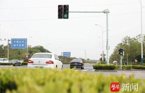 南京PLUS版红绿灯火爆网络