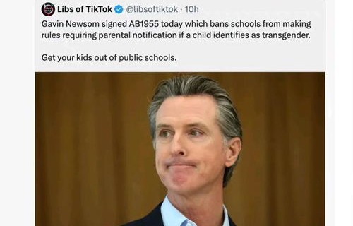 揭穿马斯克谎言的加州州长，真相与责任的力量