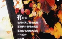 再见前任，跨越界限的婚姻故事