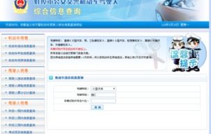 查机动车违章查询怎么查(查机动车违章查询怎么查电话)