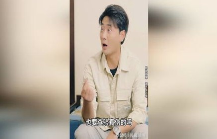 女明星倒追记，物价贬值下的96集短剧爱情篇章