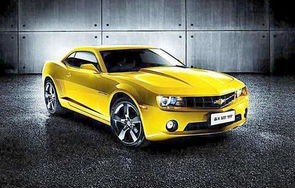 科迈罗大黄蜂(科迈罗大黄蜂二手)