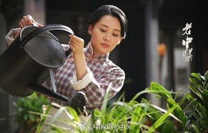 短剧傅总太太好神秘——67集的魅力之旅