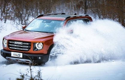 哈弗大狗汽车新款2022款报价(哈弗大狗报价 汽车之家)