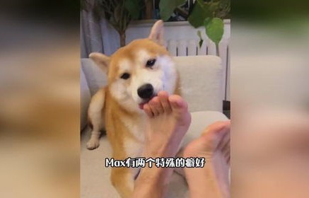 短剧逆袭，不当舔狗后，老公急哭了（全69集）