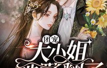 逆风大小姐，94集短剧的魅力与影响