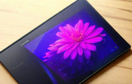 坚果pro2屏幕（坚果pro2屏幕花屏）