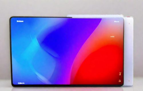 华为和小米建议买哪个（华为和小米平板建议买哪个）