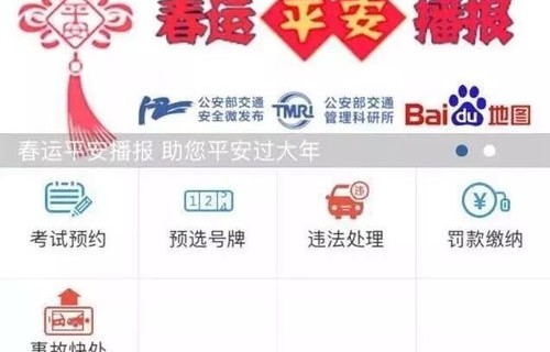 交管12123违章查询处理(交管12123违章查询处理需要多久)