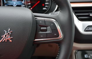 红旗h5使用一年后真实口碑(红旗h5实用吗)