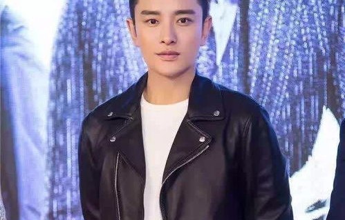 贾乃亮带货狂潮与黄景瑜的低调财富积累