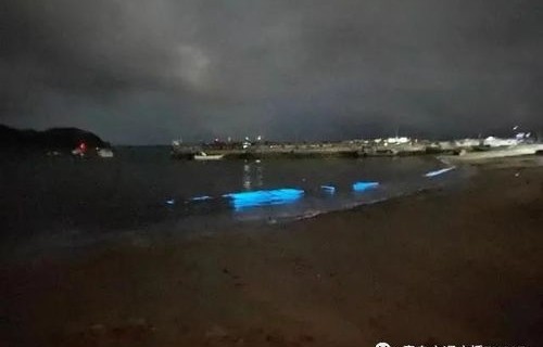 多地海边惊现神秘爆爆珠现象