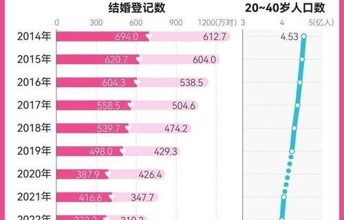 2024年全国结婚登记610.6万对，婚姻趋势的深度解析