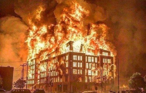 短剧玫瑰陷入火焰里的魅力与故事