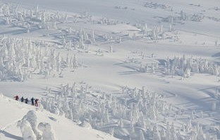 成都人的福音，在家尽享雪山美景