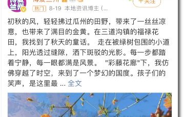 短剧去有你的地方——74集的浪漫旅程