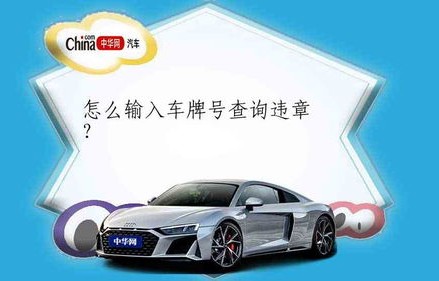 只需输入车牌号查询违章(有没有输入车牌号查询违章)