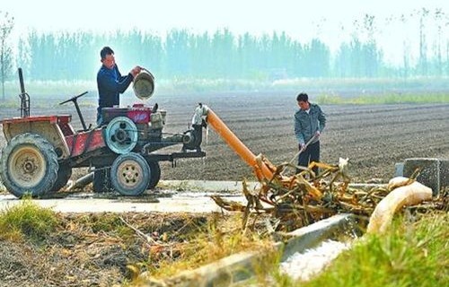 女子浇地意外遭遇寒流，隔日小麦全冻住之谜