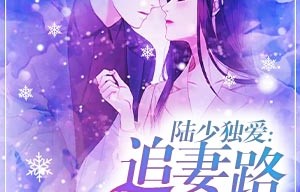 陆总的漫漫追妻路——一部短剧的深度解析