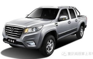 柴油皮卡车哪个牌子好又便宜(柴油皮卡车哪个牌子好又便宜省油)