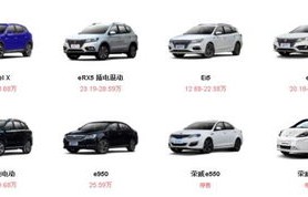 新能源汽车前十名品牌价格(新能源汽车前十大品牌)