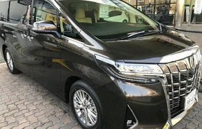 阿尔法和埃尔法的区别(阿尔法)