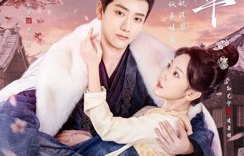 夜先生与小可怜美人的百集短剧，心眼与真情交织