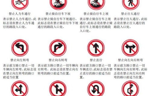 交通标志100个图解(交通标志100个图解车灯)