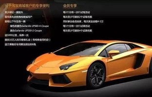 兰博基尼10万左右(兰博基尼10万左右的车)