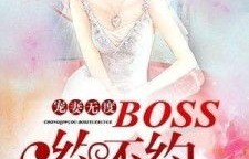 短剧关总宠妻无度——71集的甜蜜爱情之旅