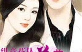 逆袭人生，美女总裁老婆后悔了（80集）