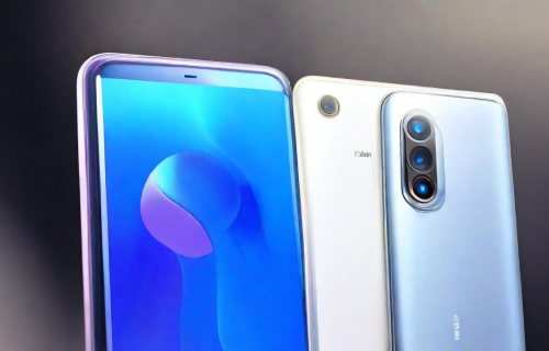 华为和小米建议买哪个（手机华为和小米建议买哪个）