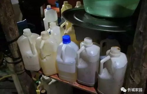 女子慧眼独具，昔日百盆搪瓷今成三倍财富