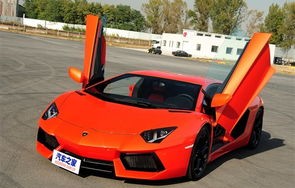兰博基尼车型大全和价格及图片(兰博基尼车型报价及图片欣赏)